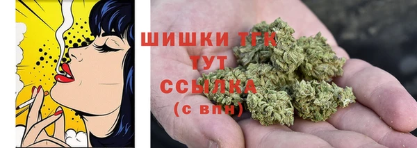 гидропоника Медвежьегорск