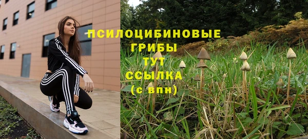 а пвп мука Мегион