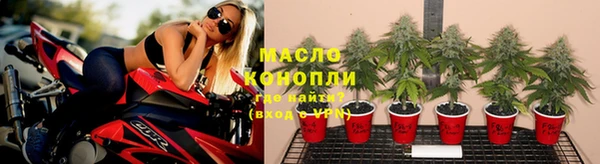 мдпв Струнино
