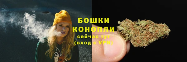 индика Строитель