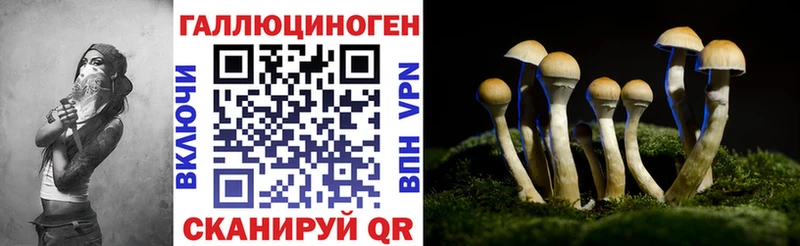 купить наркотики цена  Зуевка  mega ТОР  Галлюциногенные грибы ЛСД 